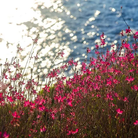 The Qasr Bodrum Halal & * Gundogan (Bodrum)